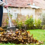 Ολοκληρώνοντας την εποχή της κηπουρικής: πλήρης κατάλογος των εργασιών περιποίησης κατά τη διάρκεια του Οκτωβρίου webp.webp